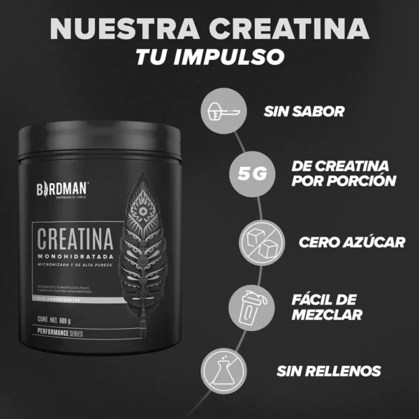 Creatina Monohidratada Birdman 600 gr - Image 2