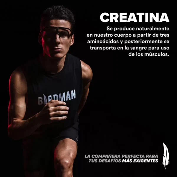 Creatina Monohidratada Birdman 600 gr - Image 5